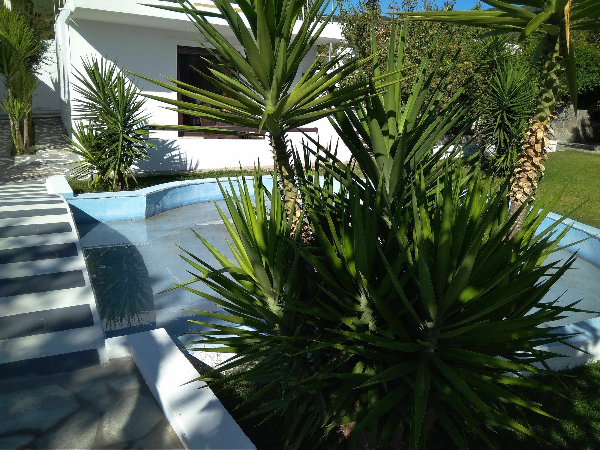 Skiathos House Extérieur photo